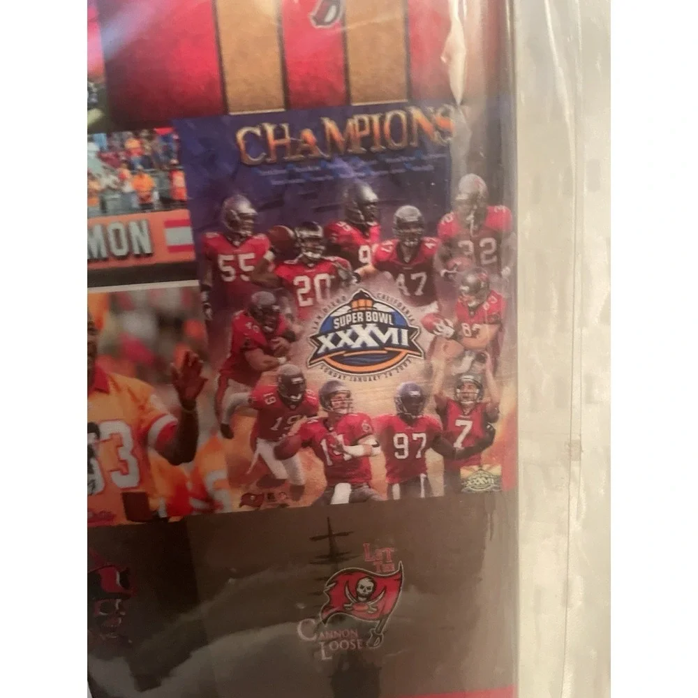 Tampa Bay Buccaneers Multipurpose Decorative Wall Art With Four Magnets NEW